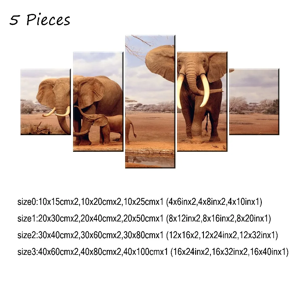 5P-30x40