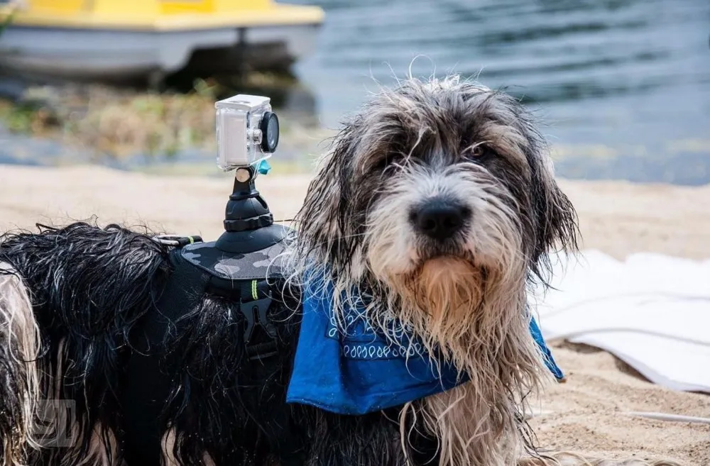 Waterproof case (7)
