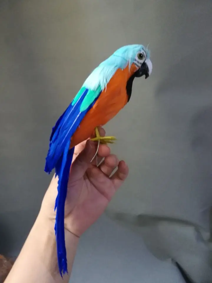 real life Bird colourful feathers parrot model about 30cm parrot garden decoration filming prop toy gift h1427
real life Bird colourful feathers parrot model about 30cm parrot garden decoration filming prop toy gift h1427