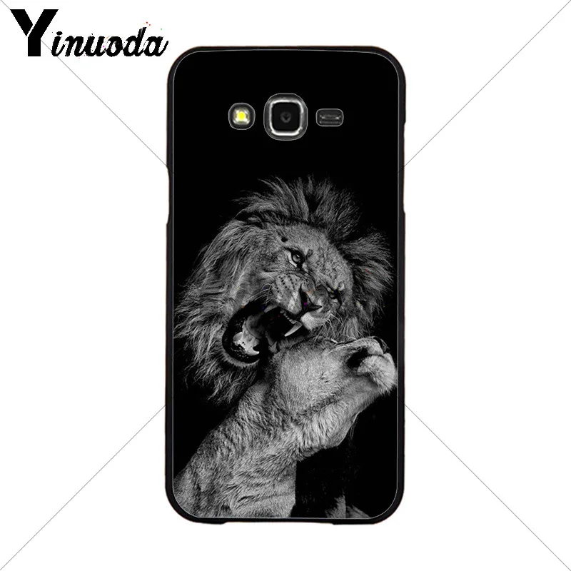 Animals The lion