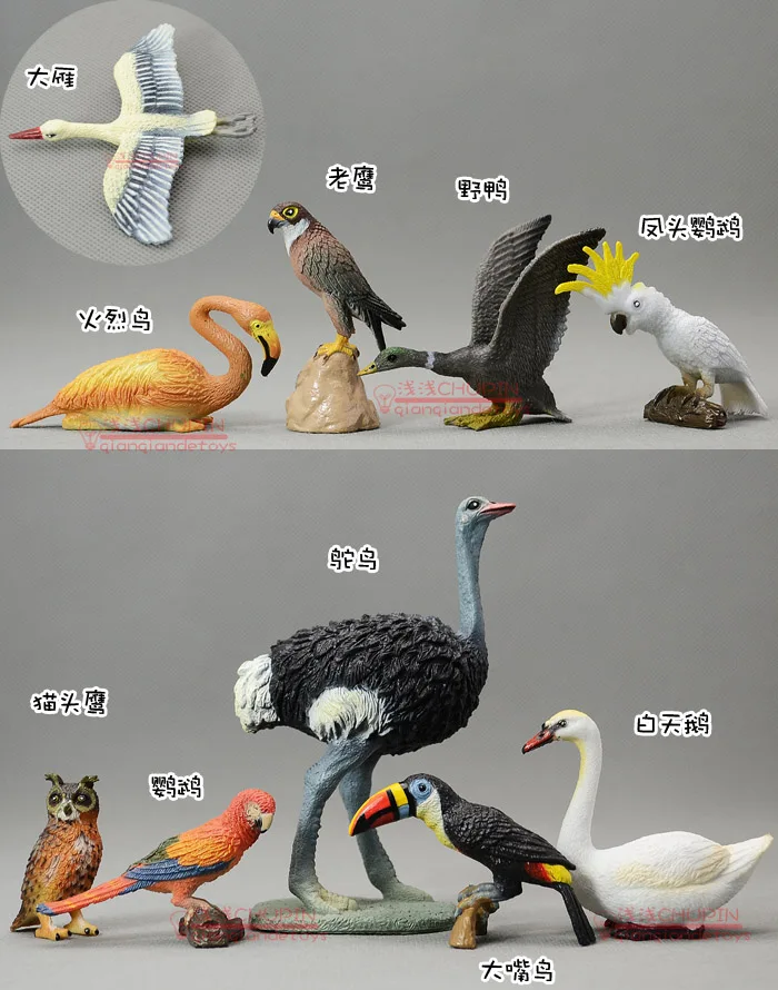 Solid model toucan bird ostrich swan flamingo eagle owl parrot Action & Toy Figures collections Decoration
Solid model toucan bird ostrich swan flamingo eagle owl parrot Action & Toy Figures collections Decoration