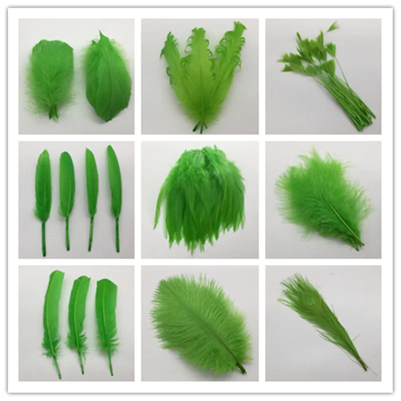 20pcs13 kinds green of Beautiful Rooster feathers 5-30cm pheasant chicken plume for DIY Party Craft decoration
20pcs13 kinds green of Beautiful Rooster feathers 5-30cm pheasant chicken plume for DIY Party Craft decoration