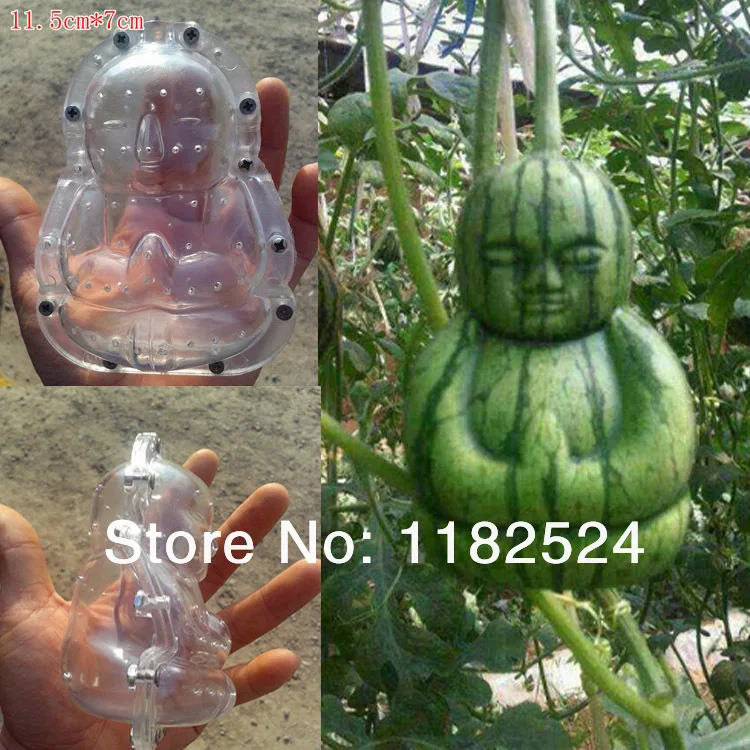 1pcs Special Offer New Arrival Figure One-layer Artificial Trees Crafts Painting Pear / Melon Mold - Deformation Gardening Tool
1pcs Special Offer New Arrival Figure One-layer Artificial Trees Crafts Painting Pear / Melon Mold - Deformation Gardening Tool