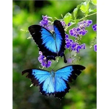 diamante bordado borboleta bordado ponto cruz embroidery conjunto completo quadrado diamante diy pintura home decoration W140
diamante bordado borboleta bordado ponto cruz embroidery conjunto completo quadrado diamante diy pintura home decoration W140