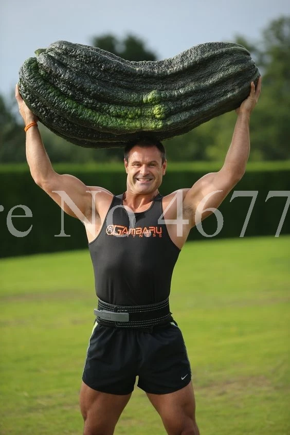Very Rare Long Luffa Cylindrica Bonsai Oversized Towel Gourd Vegetable Bonsai Balcony Organic Vegetable Garden Potted 10 Pcs
Very Rare Long Luffa Cylindrica Bonsai Oversized Towel Gourd Vegetable Bonsai Balcony Organic Vegetable Garden Potted 10 Pcs
