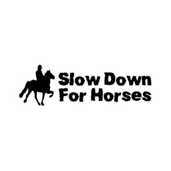 Slow Down Horse, Car Bumper Sticker Drift Vinyl Sticker Graphic Decal Accessory Humor
Slow Down Horse, Car Bumper Sticker Drift Vinyl Sticker Graphic Decal Accessory Humor