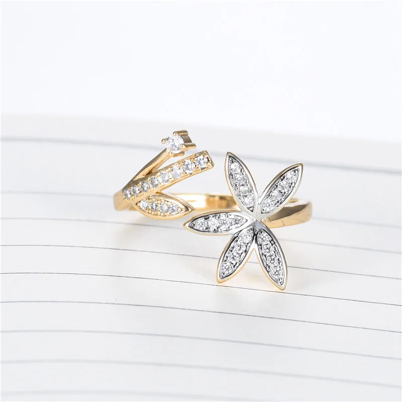 Ring 1