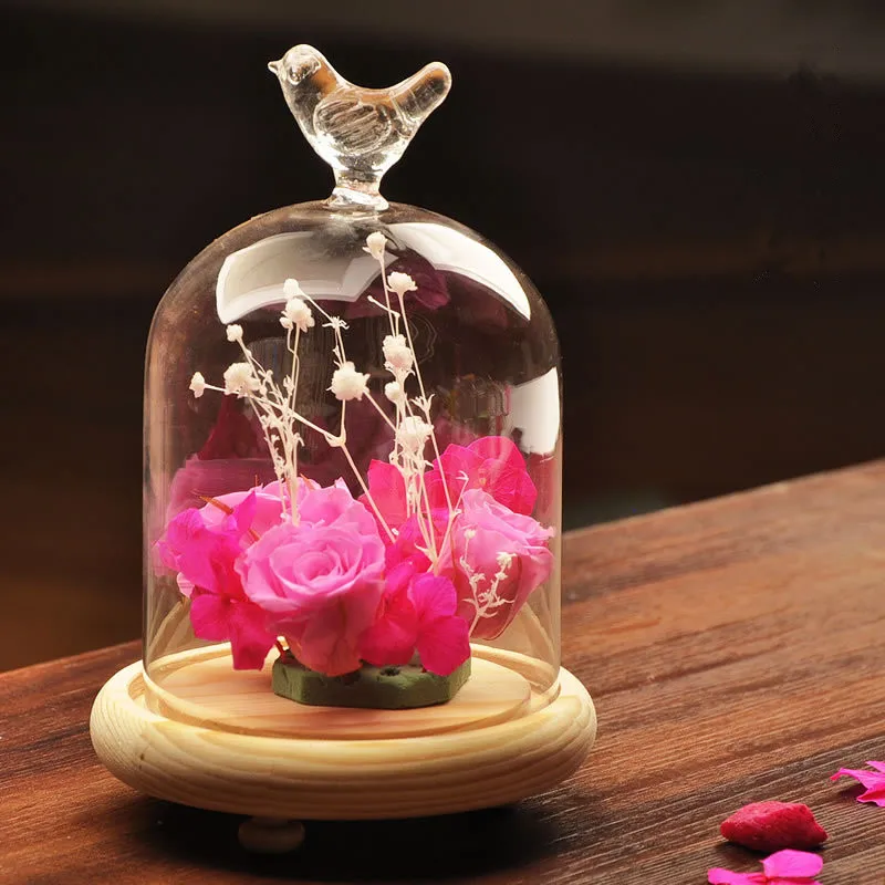

Glass Cloche Bird Dome Cover Display Choche Clear Terrarium Container Miniature Display Bell Tray Jar Centerpiece Tabletop