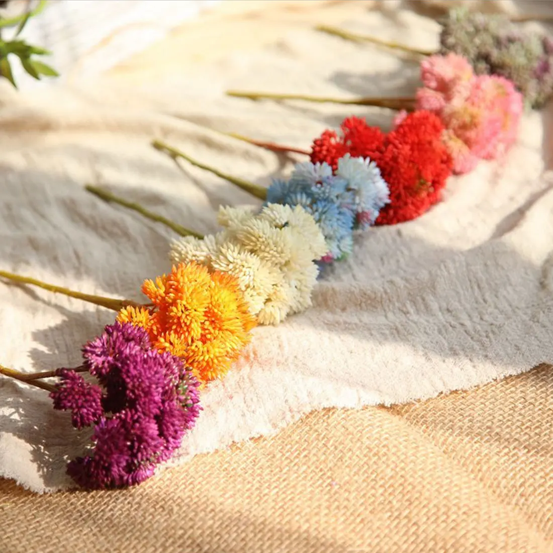 Artificial Succulent Flower Baby's Breath Flower Gypsophila Plastic Flowers Wedding Home Party Decoration Fake Potted Plants
Artificial Succulent Flower Baby's Breath Flower Gypsophila Plastic Flowers Wedding Home Party Decoration Fake Potted Plants
