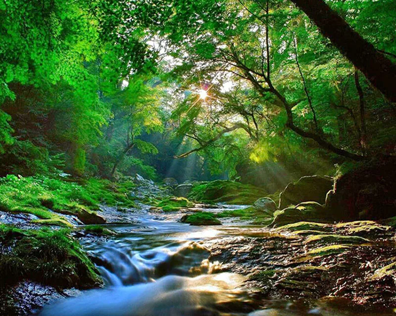 5d Diamond Embroidery Forest Nature Scenery Mosaic Crystal Cross Stitch Full Square Diamond Painting DIY Sticker Decor Paintings
5d Diamond Embroidery Forest Nature Scenery Mosaic Crystal Cross Stitch Full Square Diamond Painting DIY Sticker Decor Paintings