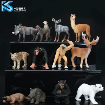 Wild animal model solid simulation children's toys 12 optional Orangutan hippo deer polar bear platypus toy model ornaments
Wild animal model solid simulation children's toys 12 optional Orangutan hippo deer polar bear platypus toy model ornaments