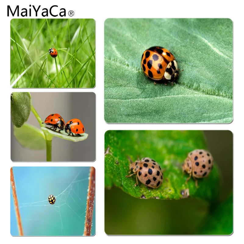 MaiYaCa High Quality Ladybug Large Mouse pad PC Computer mat Size for 18x22cm 25x29cm Small Mousepad
MaiYaCa High Quality Ladybug Large Mouse pad PC Computer mat Size for 18x22cm 25x29cm Small Mousepad