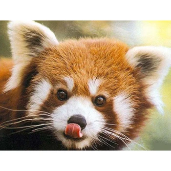 Full Square/Round Drill 5D DIY Diamond Painting "Ailurus fulgens/red pandas" Embroidery Cross Stitch Mosaic Home Decor Gift HYY
Full Square/Round Drill 5D DIY Diamond Painting "Ailurus fulgens/red pandas" Embroidery Cross Stitch Mosaic Home Decor Gift HYY