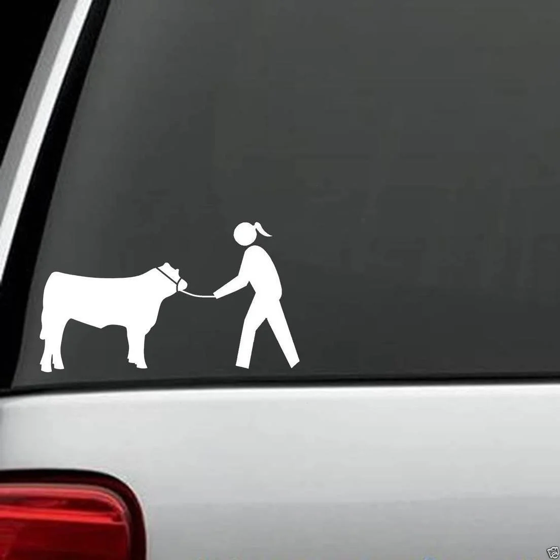 For Cow Cattle Show Halter Lead Chain Girl Decal Sticker Derby Barn Western Car Styling
For Cow Cattle Show Halter Lead Chain Girl Decal Sticker Derby Barn Western Car Styling