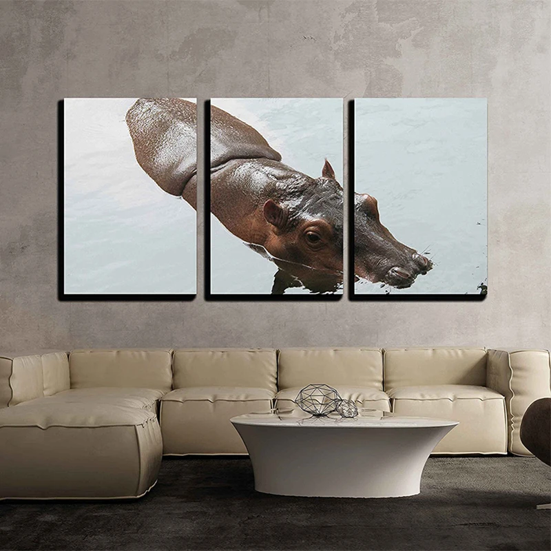 Hippopotamus Animal Diamond Painting 3pcs Embroidery Beaded Cross Stitch Embroidery Cross Stitch Needlework Wall Decor
Hippopotamus Animal Diamond Painting 3pcs Embroidery Beaded Cross Stitch Embroidery Cross Stitch Needlework Wall Decor