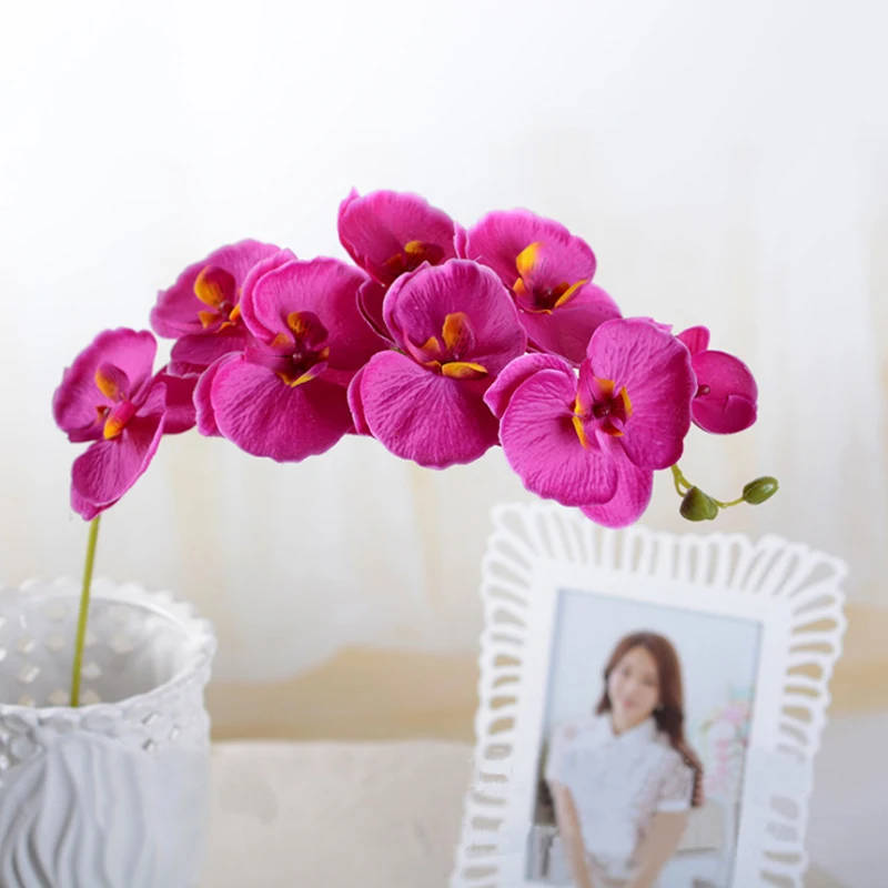 Multi Flower Heads Artificial Simulation Flower Butterfly Orchid Silk Flower Bouquet Phalaenopsis Wedding Party Home Decor
Multi Flower Heads Artificial Simulation Flower Butterfly Orchid Silk Flower Bouquet Phalaenopsis Wedding Party Home Decor