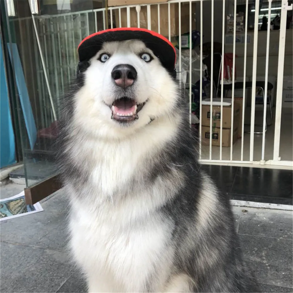 TAILUP Adjustable Pet Dog Cap Small Pet Summer Caps Dogs Baseball Visor Hat Cute Puppy Outdoor Sunbonnet Pets Canvas Accessories
TAILUP Adjustable Pet Dog Cap Small Pet Summer Caps Dogs Baseball Visor Hat Cute Puppy Outdoor Sunbonnet Pets Canvas Accessories