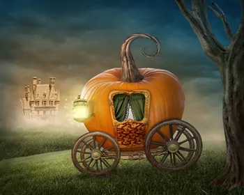 studio newborn&children halloween photography backdrop Art fabric pumpkin photography backdrop D-8267
studio newborn&children halloween photography backdrop Art fabric pumpkin photography backdrop D-8267
