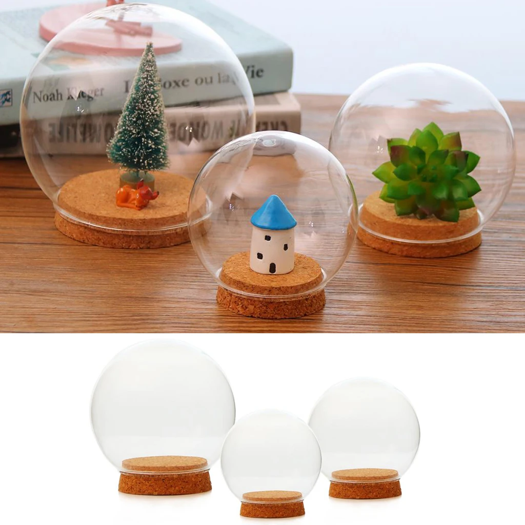 10 Pcs Transparent Glass Ball Shaped Cover Dried Flower Foliage Container DIY Micro Landscape Fairy Decor 10 Pcs Transparent Glass Ball Shaped Cover Dried Flower Foliage Container DIY Micro Landscape Fairy Decor