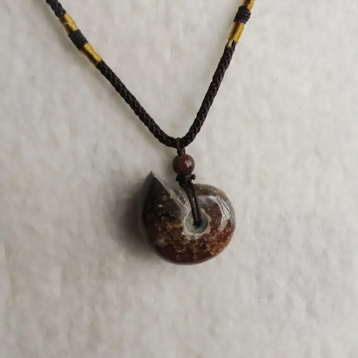 Natural conch fossil ammonite snail snail pendant rich transport properties of a large move peace map
Natural conch fossil ammonite snail snail pendant rich transport properties of a large move peace map