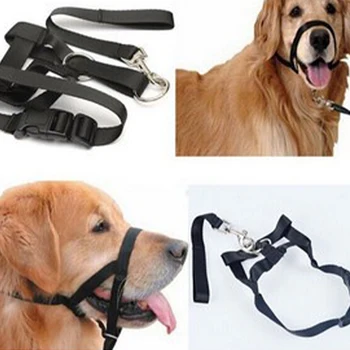 Nylon Dogs Head Collar Dog Training Halter Dog Muzzle Adjustable Pet Head Collar Stops Dog Pulling Training Nose Reigns Dropship
Nylon Dogs Head Collar Dog Training Halter Dog Muzzle Adjustable Pet Head Collar Stops Dog Pulling Training Nose Reigns Dropship