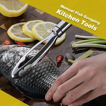 Manual Fish Scraping Kitchen Tools 304 Stainless Steel Fish Scaler Remover Manual Scraping Fish Scales Fish Knife
Manual Fish Scraping Kitchen Tools 304 Stainless Steel Fish Scaler Remover Manual Scraping Fish Scales Fish Knife