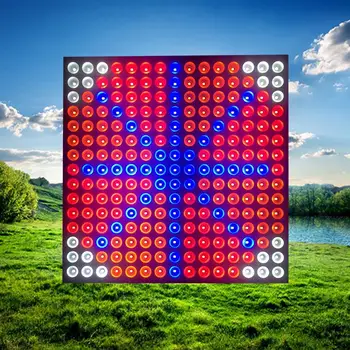 50W LED Growth Lamp For Plants Led Grow Light Full Spectrum Phyto Lamp Fitolampy Indoor Herbs Light For Greenhouse Led Grow
50W LED Growth Lamp For Plants Led Grow Light Full Spectrum Phyto Lamp Fitolampy Indoor Herbs Light For Greenhouse Led Grow