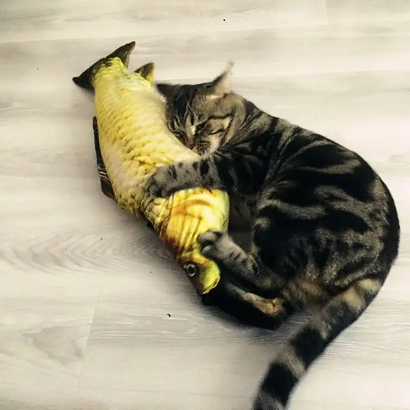 2020 Newest Hot 1PCS Grass Carp Fish Shape Pet Kitten Interactive Cats Chewing Toys Play Fun Toy
