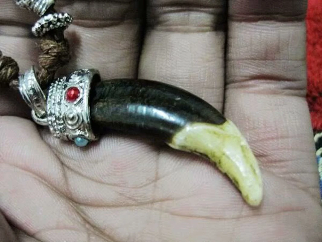 

16 pcs Vintage Pendant Tribal Wolf Tooth Tibetan Beads Jewelry