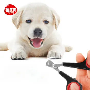 Trimmer Dog Nail Clippers Claw Grinder Cutter Nail Dog Nails Paw Scissors Stainless Care Coupe Ongle Chien Pet Pedicure XX60DC
Trimmer Dog Nail Clippers Claw Grinder Cutter Nail Dog Nails Paw Scissors Stainless Care Coupe Ongle Chien Pet Pedicure XX60DC