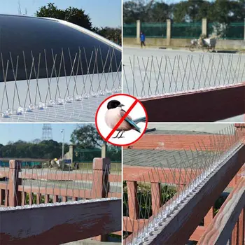 1set 25cm Stainless Steel Safe Bird Repellent Spikes Eco-friendly Anti Pigeon Nail Bird Deterrent Tool For Owl Small Birds Fence
1set 25cm Stainless Steel Safe Bird Repellent Spikes Eco-friendly Anti Pigeon Nail Bird Deterrent Tool For Owl Small Birds Fence