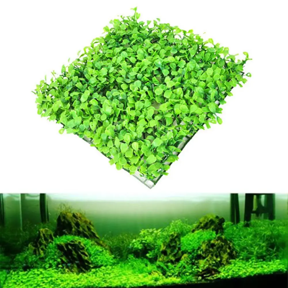 Artificial Grass Polyester Artificial Moss Lawn Simulation Pine Needle Grass Landscape Lawn Fish Tank Indoor Outdoor Decoration
Artificial Grass Polyester Artificial Moss Lawn Simulation Pine Needle Grass Landscape Lawn Fish Tank Indoor Outdoor Decoration