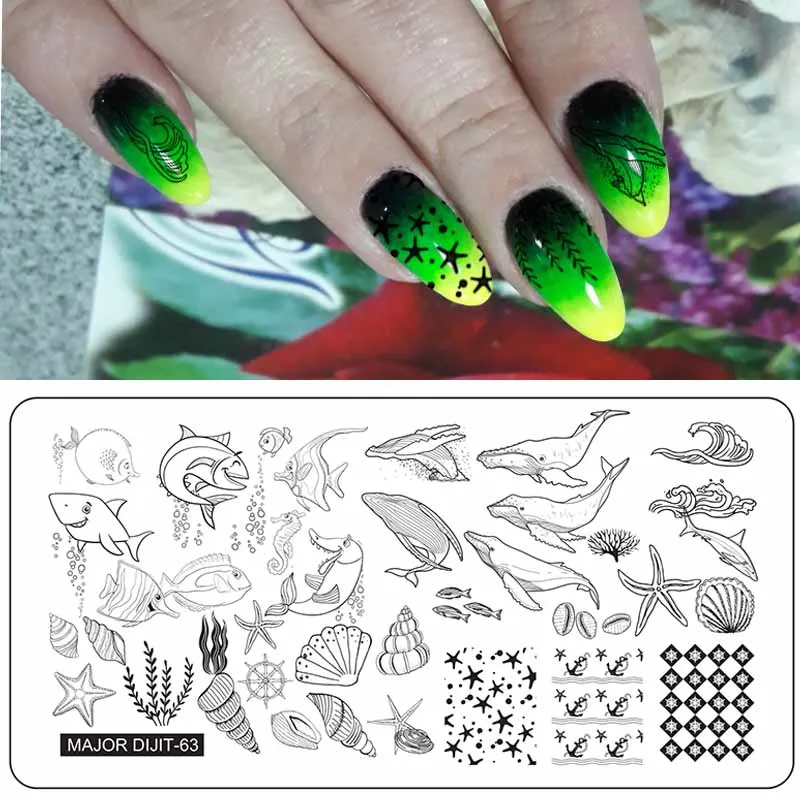 6.5*12.5cm Shark Nail Stamping Plates Nail Template Conch Sea Shell Pattern Nail Stamp Nail Art Stamp Image Template
6.5*12.5cm Shark Nail Stamping Plates Nail Template Conch Sea Shell Pattern Nail Stamp Nail Art Stamp Image Template