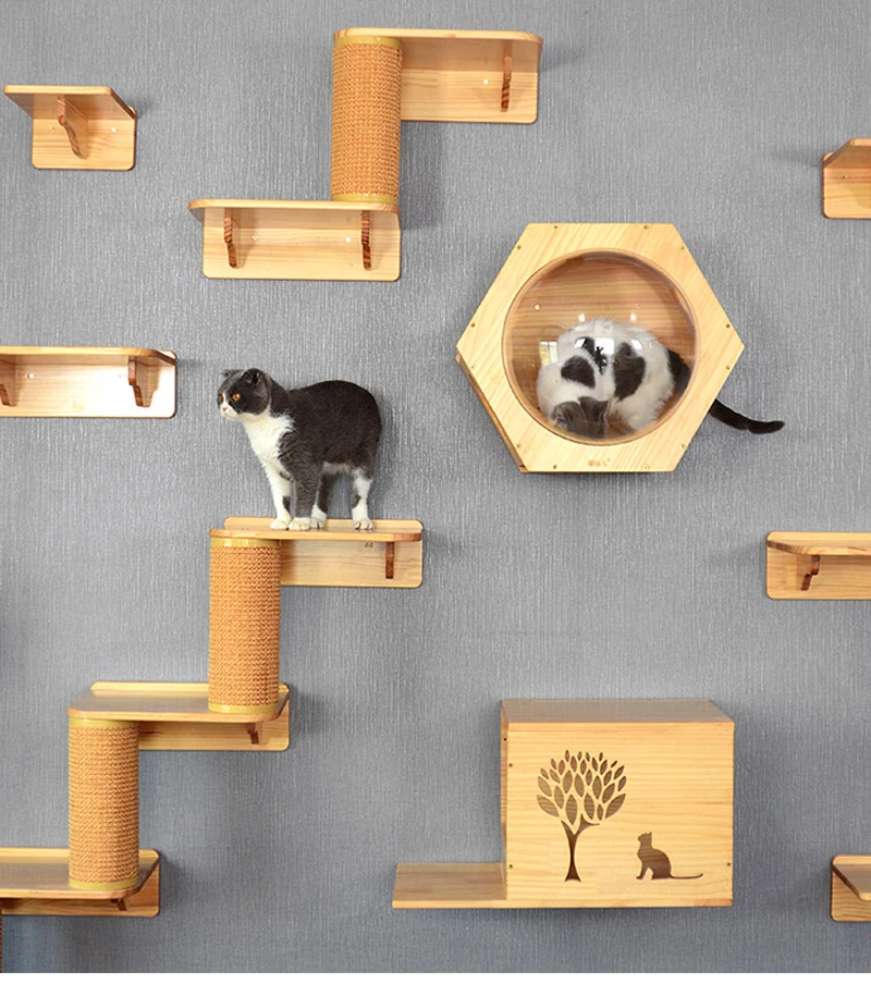 Wall mounted cat climbing frame cat 