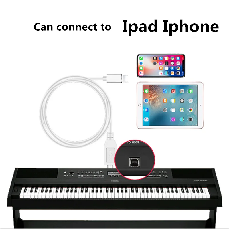 Lightning to USB Cable Connection Lead OTG converter cable 1M for Electronic Piano Printer Decoder Lightning12 for ipad iphone
Lightning to USB Cable Connection Lead OTG converter cable 1M for Electronic Piano Printer Decoder Lightning12 for ipad iphone