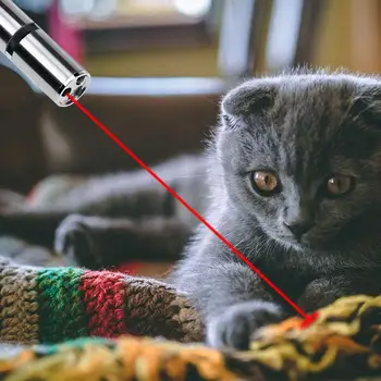 Cat Chaser Toy 7 in 1 USB Rechargeable LED Light Laser Pointer Red UV Torch Flashlight Pen Pet Interactive Toy Cat Training Tool
Cat Chaser Toy 7 in 1 USB Rechargeable LED Light Laser Pointer Red UV Torch Flashlight Pen Pet Interactive Toy Cat Training Tool