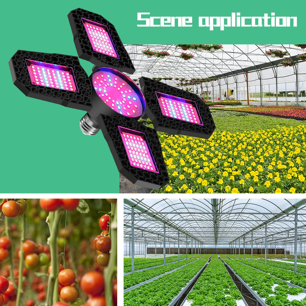 New Full Spectrum LED Grow Light E27 Phytolamp Bulb for Plants Deformable Folding LED Lamp for Indoor Grow Tent Vegetable Seeds
New Full Spectrum LED Grow Light E27 Phytolamp Bulb for Plants Deformable Folding LED Lamp for Indoor Grow Tent Vegetable Seeds