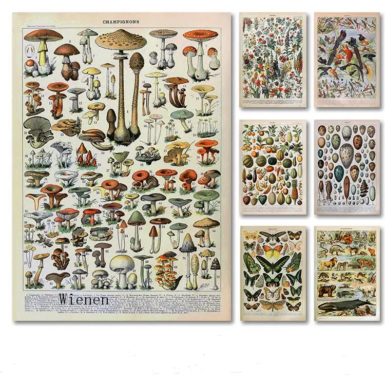 Paleobios Plants Vegetables Fruits Retro Poster Flower Animal Insect Butterfly Canvas Painting Wall Art Picture Home Decor
Paleobios Plants Vegetables Fruits Retro Poster Flower Animal Insect Butterfly Canvas Painting Wall Art Picture Home Decor