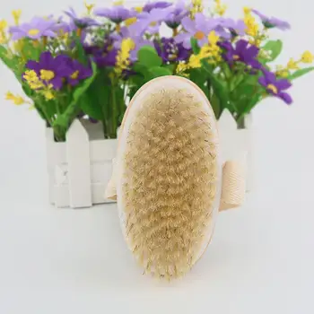 1 Pcs Wooden Back Brush Long Handle Bath Natural Brushes Bathroom With Exfoliating Wooden Brushes Body Massager Handle Show V3I0
1 Pcs Wooden Back Brush Long Handle Bath Natural Brushes Bathroom With Exfoliating Wooden Brushes Body Massager Handle Show V3I0