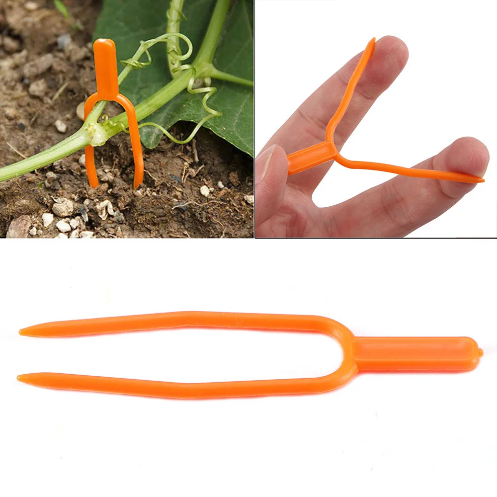 100Pcs Garden Plants Bundled Buckle Grape Vines Vegetable Strapping Clips Greenhouse Vegetables Stems Fixing Ring Fasteners tool
100Pcs Garden Plants Bundled Buckle Grape Vines Vegetable Strapping Clips Greenhouse Vegetables Stems Fixing Ring Fasteners tool