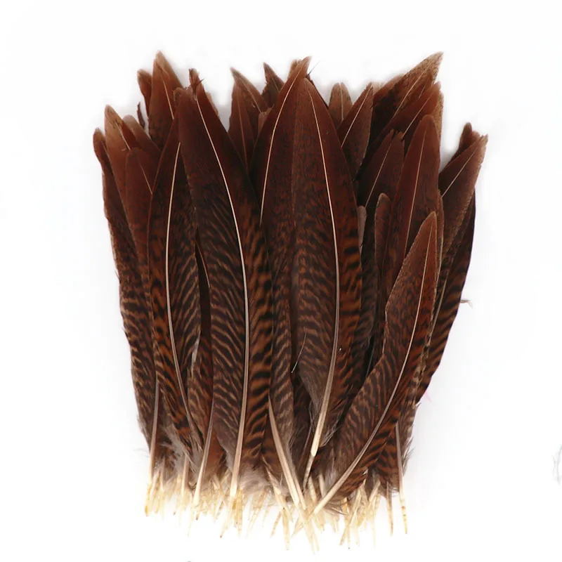 

100Pcs/Lot Natural Pheasant Feathers for Clothes 15-20cm 6-8inch Feather Decor Plumas Carnaval Feather Plume Decoration Plumes