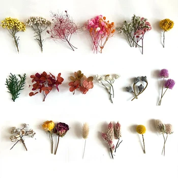Dried Flower Specimen Frame Decor DIY Material Pack Handmade Specimen Frame Natural Dry Flowers Event Decoration
Dried Flower Specimen Frame Decor DIY Material Pack Handmade Specimen Frame Natural Dry Flowers Event Decoration