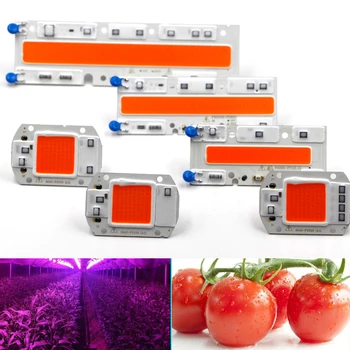 Phytolamp Full Spectrum LED COB Grow Light Chip AC 220V 110V LED Diode Seedlings Hydroponics Phyto Lamp 20W 30W 50W 70W