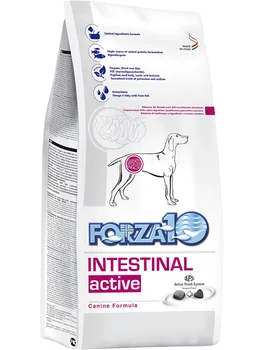 FORZA10 FORZA10 DOG INTESTINAL ACTIVE for adult dogs of all breeds in diseases of the gastrointestinal tract
FORZA10 FORZA10 DOG INTESTINAL ACTIVE for adult dogs of all breeds in diseases of the gastrointestinal tract