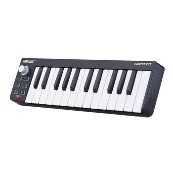 High Quality Worlde Easykey 25 Portable Velocity-sensitive Keyboard Mini Durable 25-Key USB MIDI Controller
High Quality Worlde Easykey 25 Portable Velocity-sensitive Keyboard Mini Durable 25-Key USB MIDI Controller