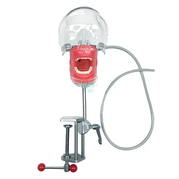 Head Model 360° adjustment Dental Simulator Manikin Phantom With New Style Bench Mount Dental Models For Dentist Teaching
Head Model 360° adjustment Dental Simulator Manikin Phantom With New Style Bench Mount Dental Models For Dentist Teaching