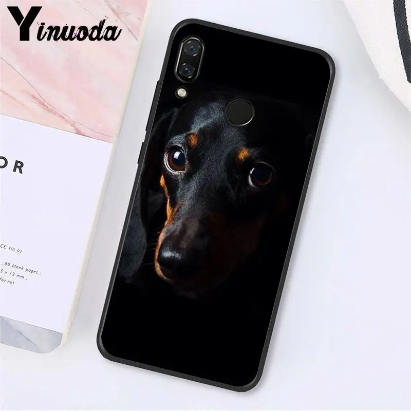 Cartoon Animals Dogs Dachshund