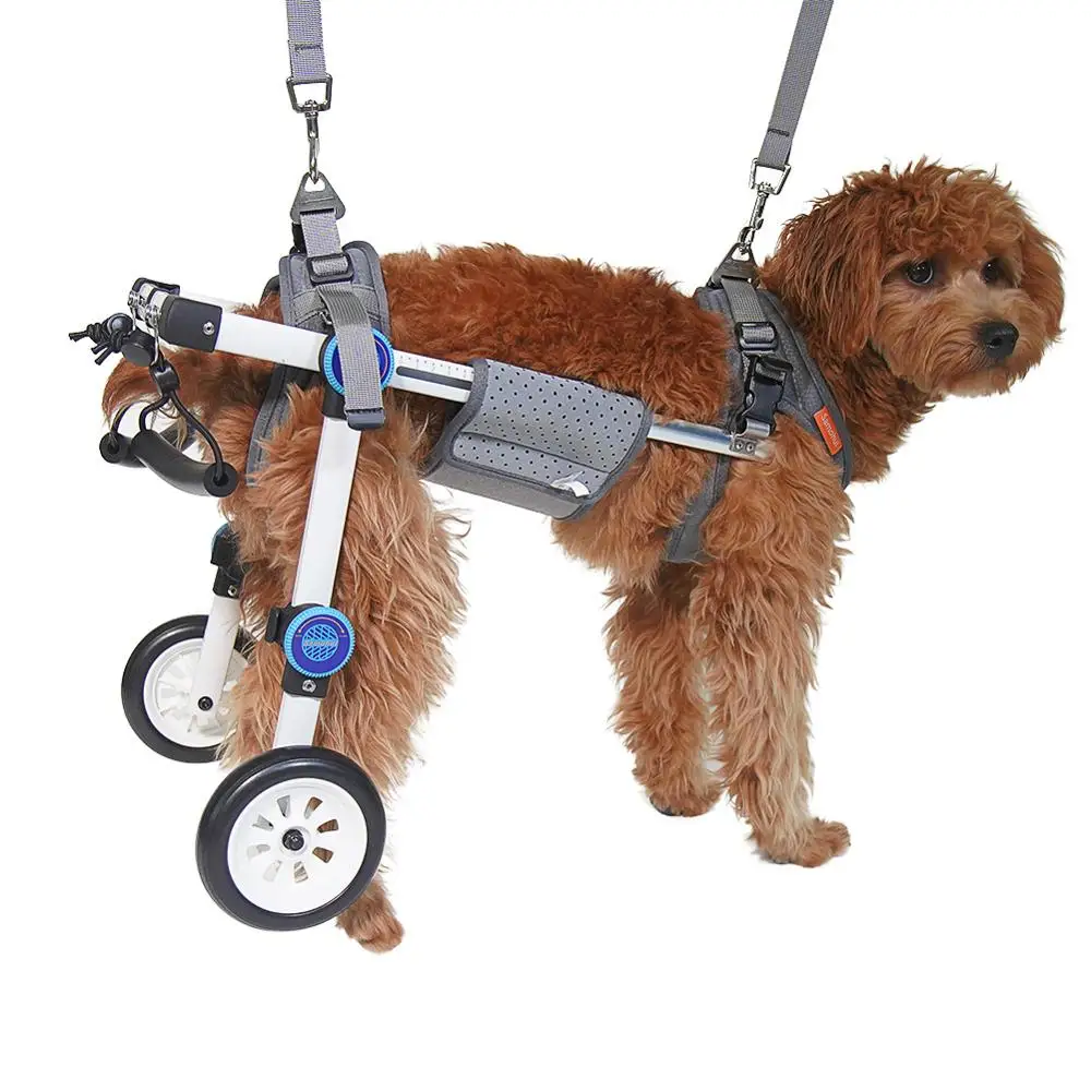 Distinctive High Quality Upgrade 2 Wheel Pet Wheelchair Walk Assistant Cart Kit For Handicapped Cat Dog Puppy Walker XS
Distinctive High Quality Upgrade 2 Wheel Pet Wheelchair Walk Assistant Cart Kit For Handicapped Cat Dog Puppy Walker XS