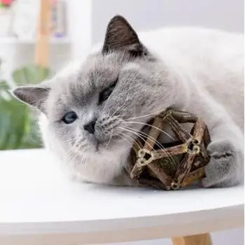 Catnip Toy Funny Beneficial Pet Toys Interactive Cat Nip Toys Catnip Ball Safety Healthy Pet Toy Products Clean Teeth MJ81801
Catnip Toy Funny Beneficial Pet Toys Interactive Cat Nip Toys Catnip Ball Safety Healthy Pet Toy Products Clean Teeth MJ81801