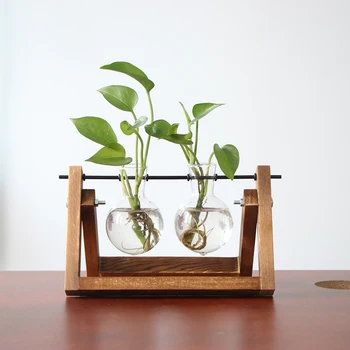Terrarium Hydroponic Plant Transparent Vase Wooden Frame Vase Decoratio Glass Table Plant Bonsai Decoration Vase
Terrarium Hydroponic Plant Transparent Vase Wooden Frame Vase Decoratio Glass Table Plant Bonsai Decoration Vase